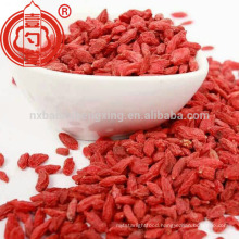 2016 ningxia low pesticide goji berry